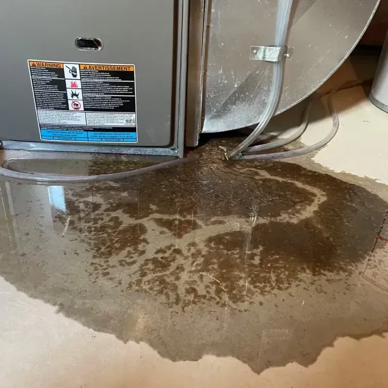 Appliance Leak Cleanup in Kensington, MD